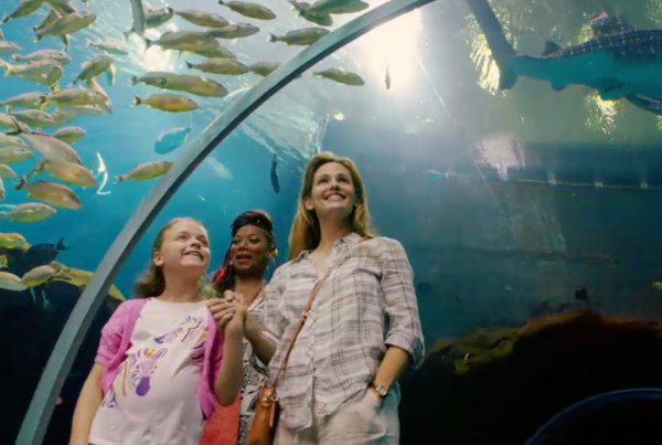 MIRACLESFROMHEAVEN5